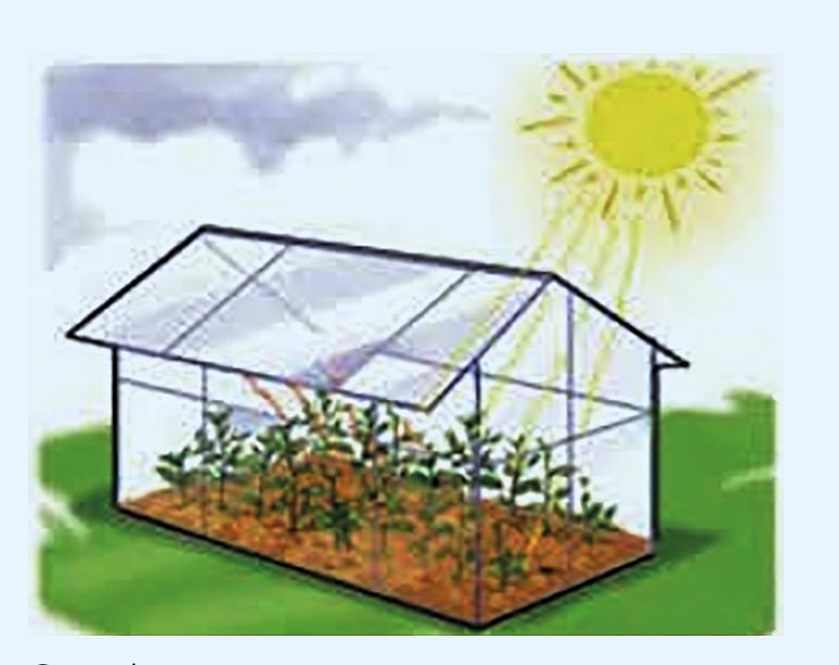 বৈশ্বিক উষ্ণতার ফলে জলবায়ুর পরিবর্তন ঘটে