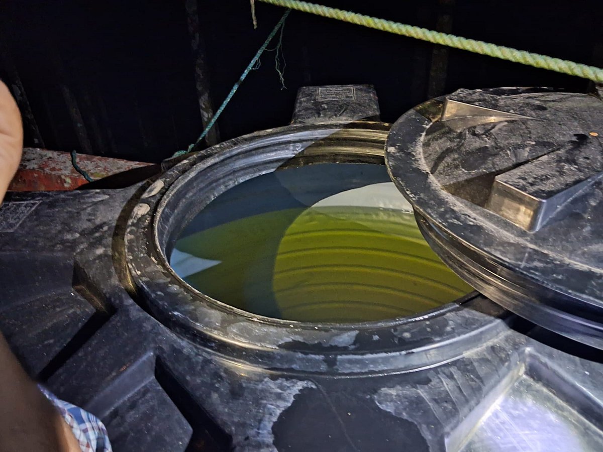 বাড়ির ছাদে পানির ট্যাংকে ডিজেল মজুত, ব্যবসায়ীকে জরিমানা