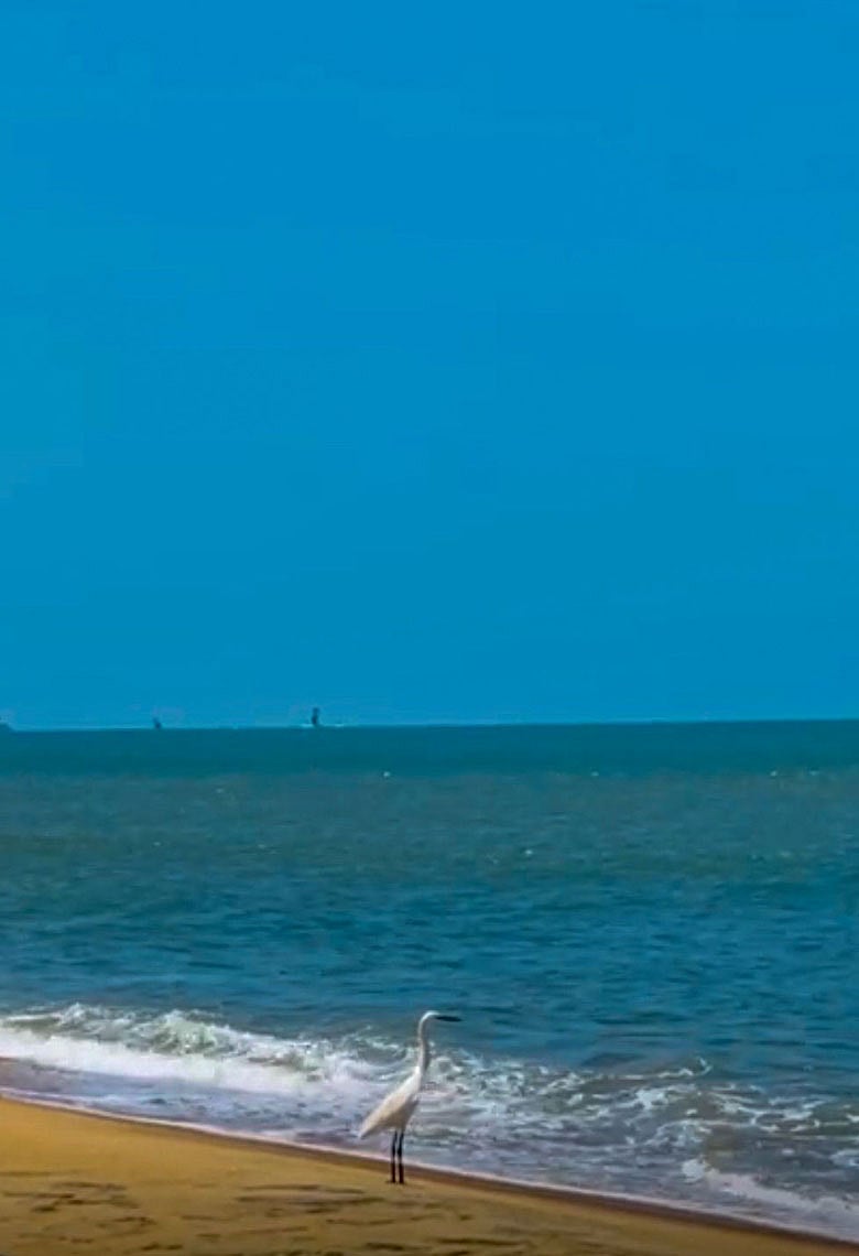 সিংহল সমুদ্র থেকে