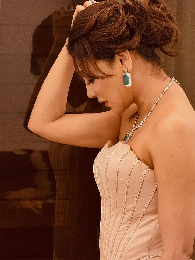 প্যাস্টেল পুচ গাউনের সঙ্গে মেসি আপডু হেয়ারস্টাইলে দেখা যাচ্ছে এই ডিভাকে 