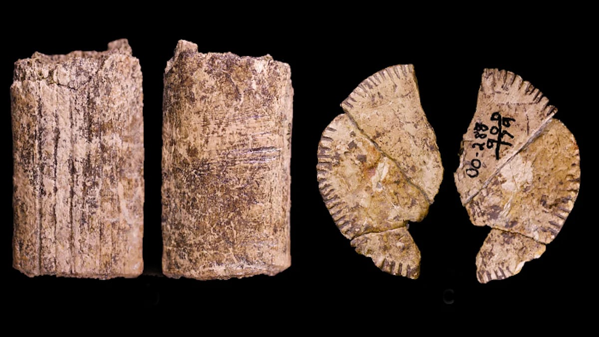 ১২ হাজার বছরের পুরোনো পাশার খোঁজ