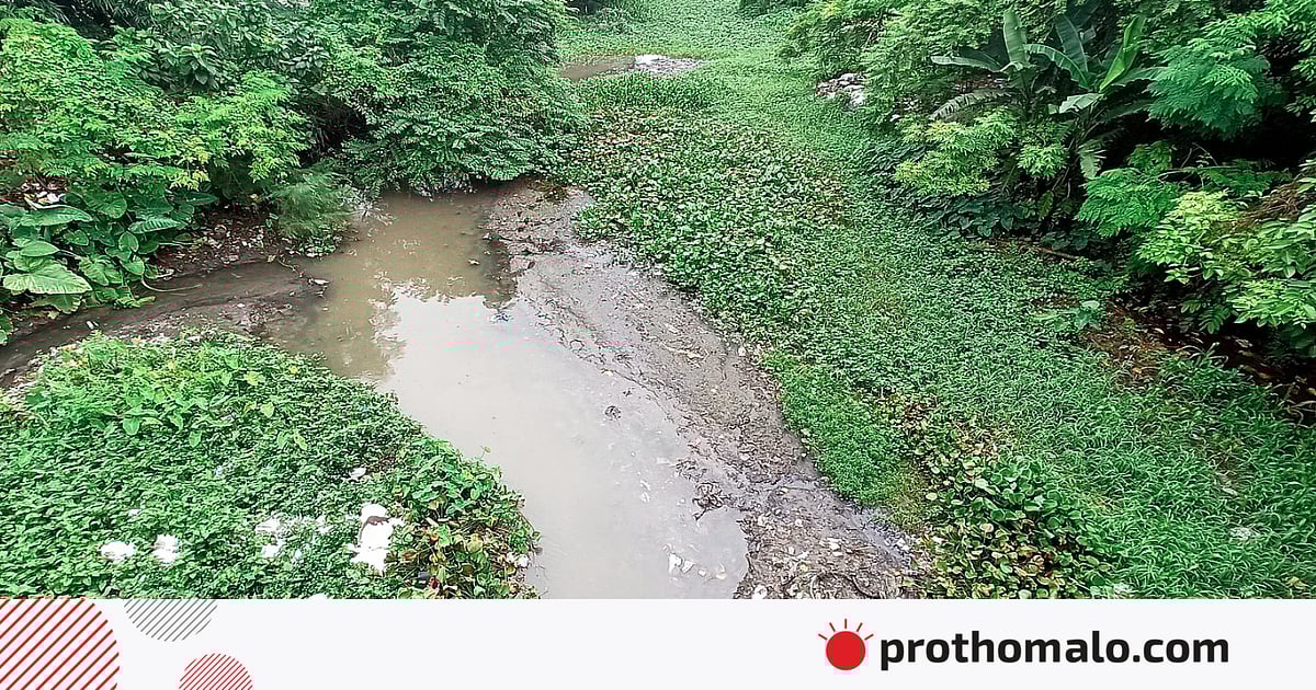 বাংলাদেশের দীর্ঘতম নদী আসলে কোনটি? বাংলাদেশের দীর্ঘতম নদী আসলে কোনটি?