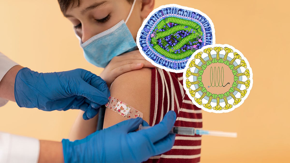 হাম ও রুবেলার পার্থক্য কী? রুবেলার লক্ষণ, জটিলতা ও প্রতিরোধ জেনে রাখুন