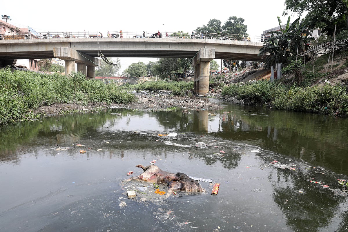 পানি কমে যাওয়ায় আবর্জনায় পূর্ণ করতোয়া 