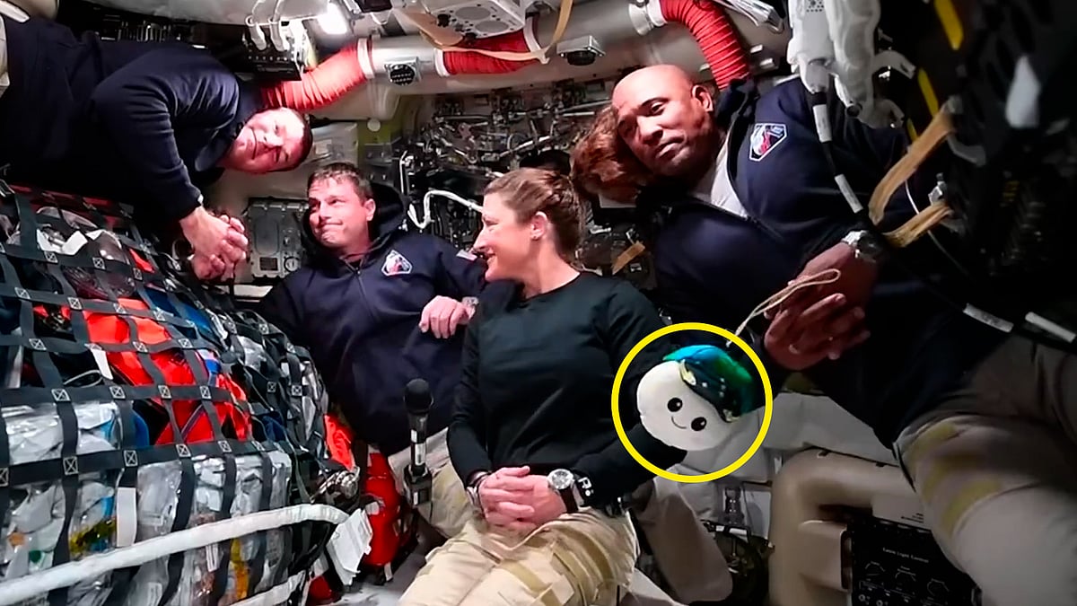 চাঁদের পথে আর্টেমিস ২–এ নভোচারীদের সঙ্গী ‘রাইজ’এর কাজ কী