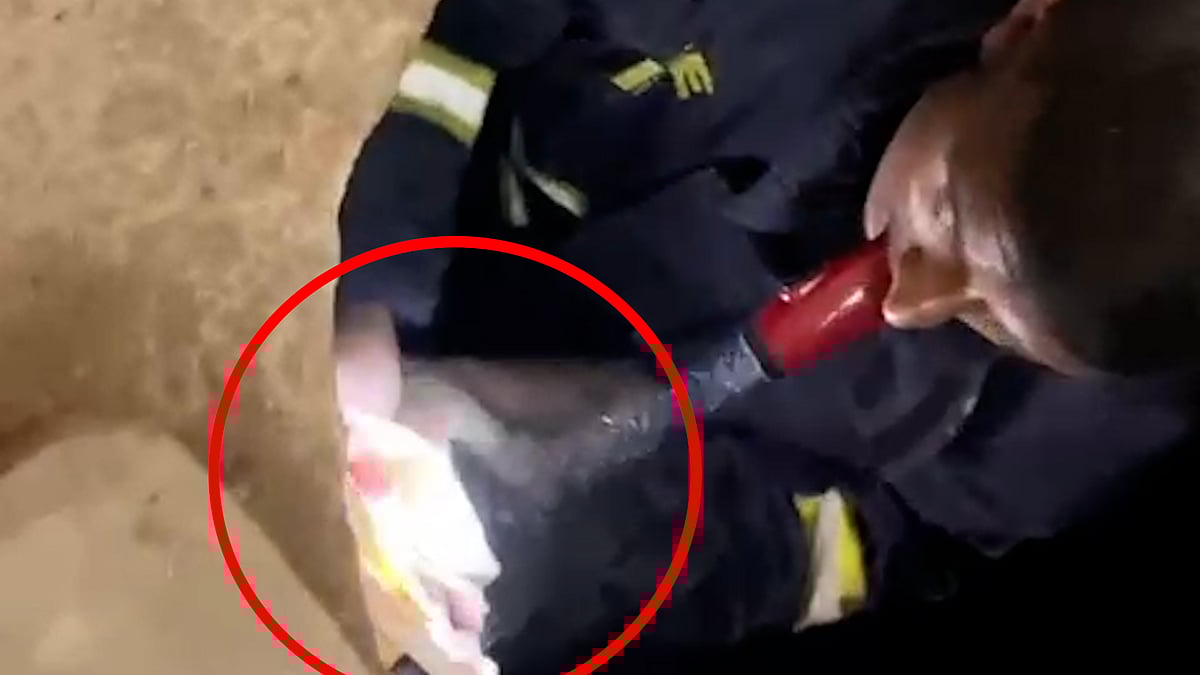 গভীর পানির ট্যাংক থেকে জীবিত বিড়ালছানা উদ্ধার করলেন ফায়ার সার্ভিসের কর্মীরা, প্রশংসায় ভাসছেন