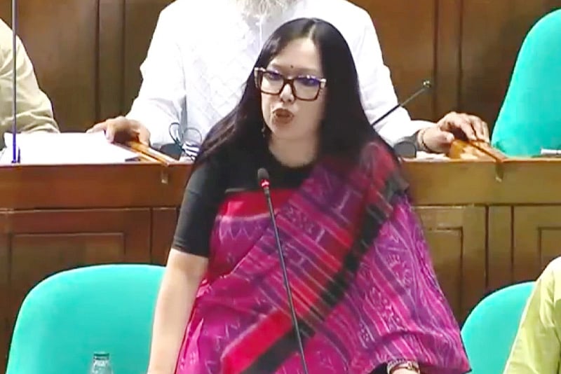 সংসদে বিএনপিকে কেন ধন্যবাদ দিলেন রুমিন ফারহানা