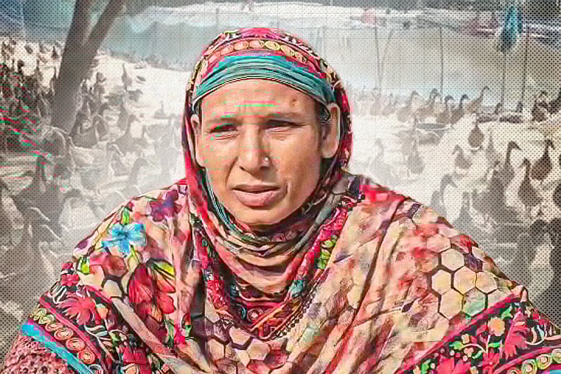 ৫০০ হাঁস থেকে ৩ হাজার, হাজিপুরের গৃহবধূর উদ্যোক্তা যাত্রা