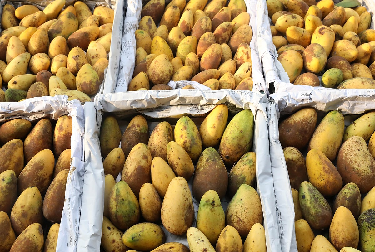 গ্রীষ্মের দেশি ফল আড়তে