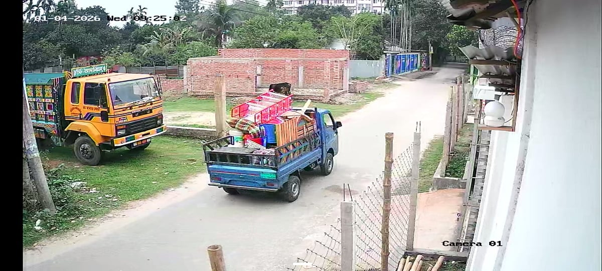 ট্রাংকে নারীর হাত-পা বাঁধা লাশ,  নীল রঙের পিকআপের সূত্রে রহস্য ভেদ