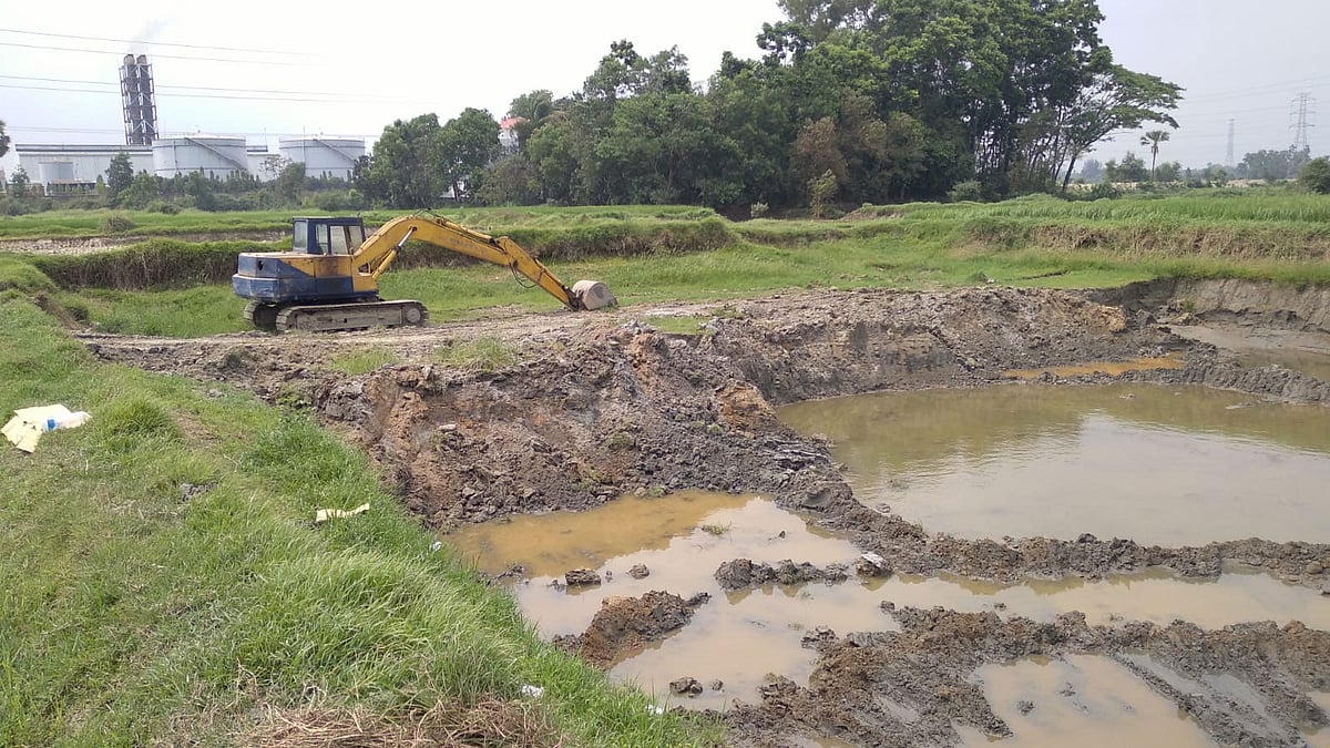 ফেনীতে কারা কাটছে কৃষিজমির মাটি, দ্বন্দ্ব–সংঘাত থেকে কেন খুন