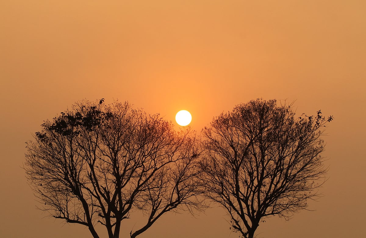 ছবি: সুপ্রিয় চাকমা