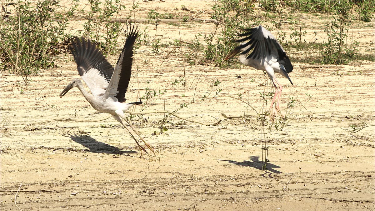 ছবি: সুপ্রিয় চাকমা