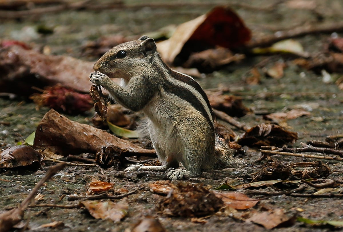 একঝলক (৯ এপ্রিল ২০২৬)