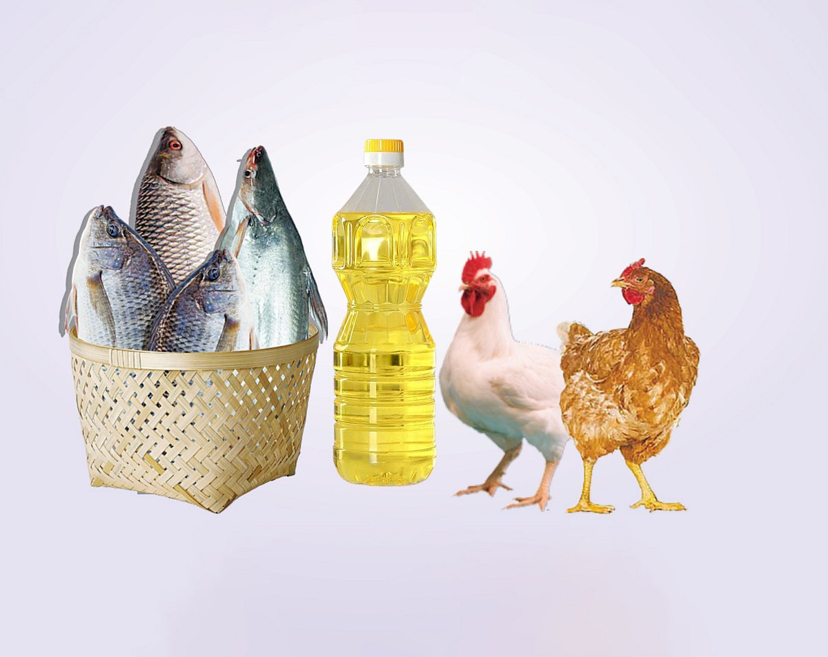 মাছ মুরগি সবজি তেলসহ অনেক পণ্যের দাম বাড়তি