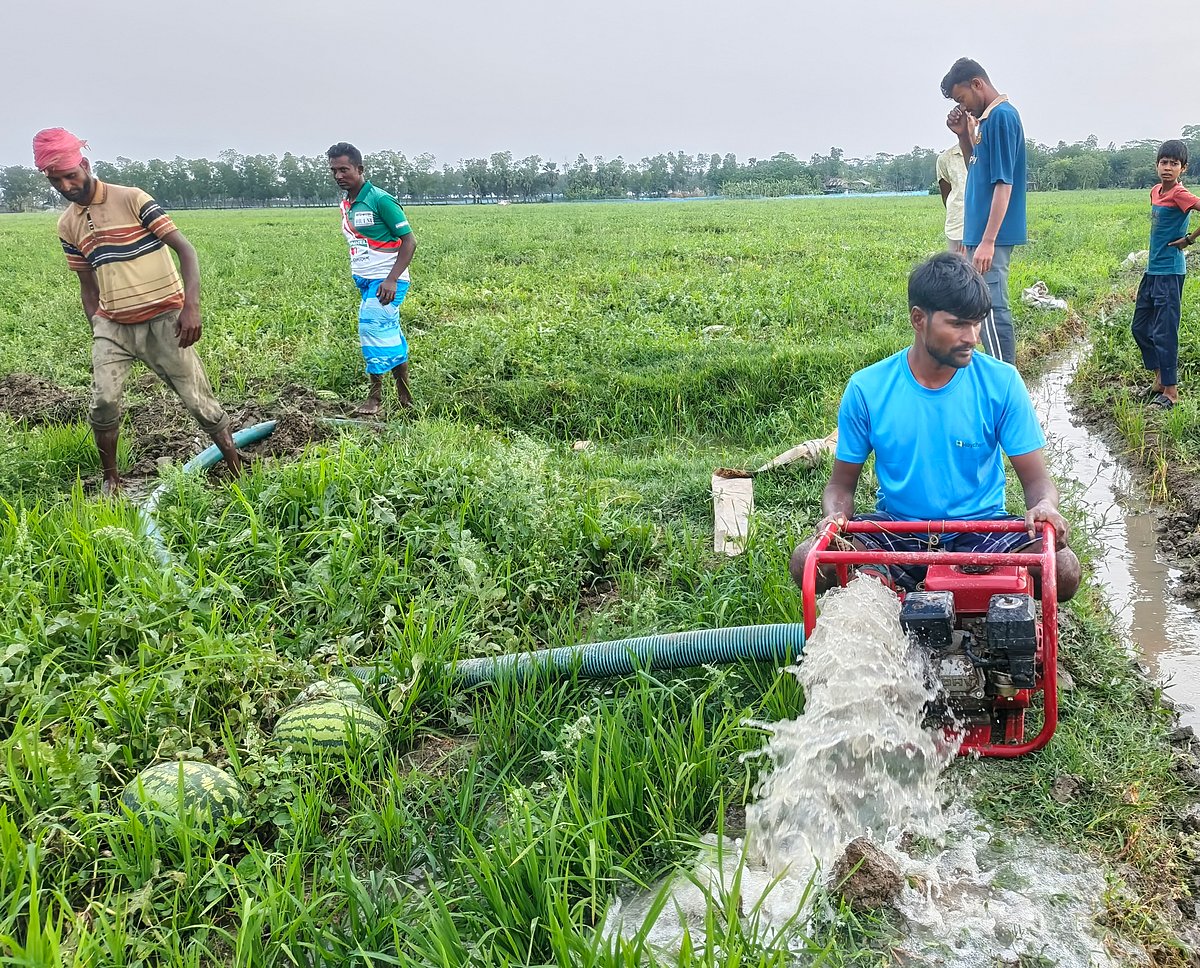 পরিবহনসংকট ও বৃষ্টিতে তরমুজ মাঠে পচার আশঙ্কা, দিশাহারা বরগুনার চাষিরা