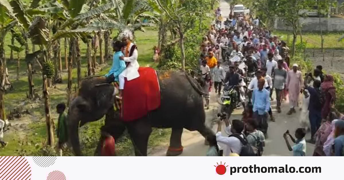 বর গেলেন হাতির পিঠে, নববধূকে নিয়ে ফিরলেন ঘোড়ার গাড়িতে বর গেলেন হাতির পিঠে, নববধূকে নিয়ে ফিরলেন ঘোড়ার গাড়িতে