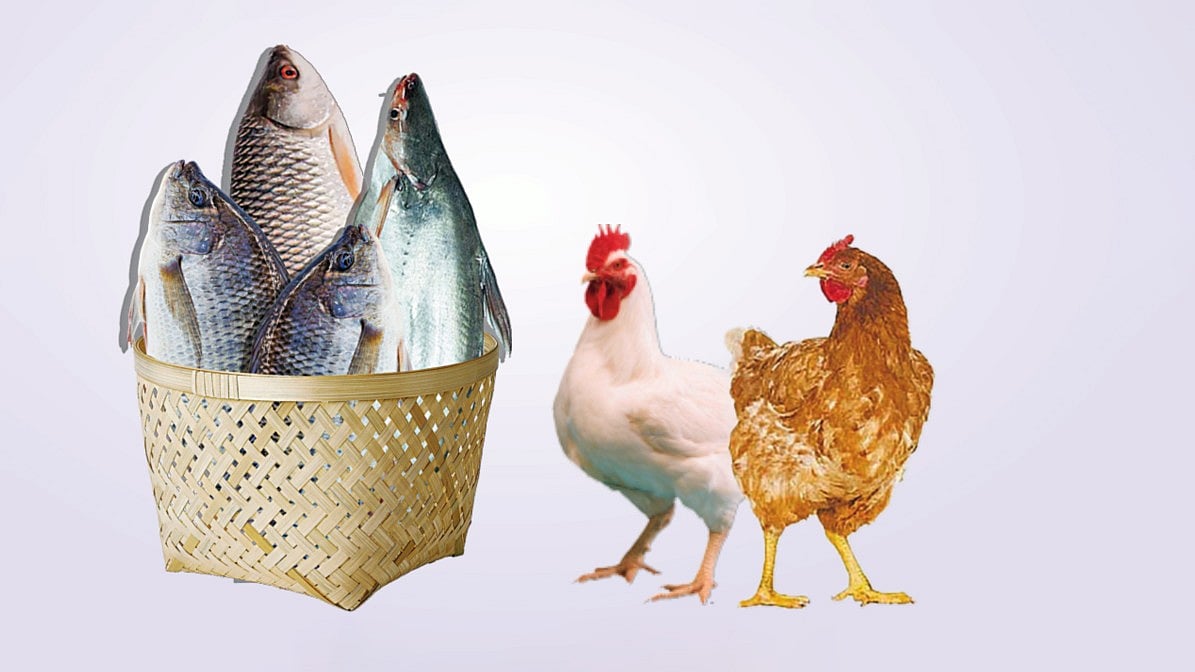 মাছ মুরগি সবজি তেলসহ অনেক পণ্যের দাম বাড়তি