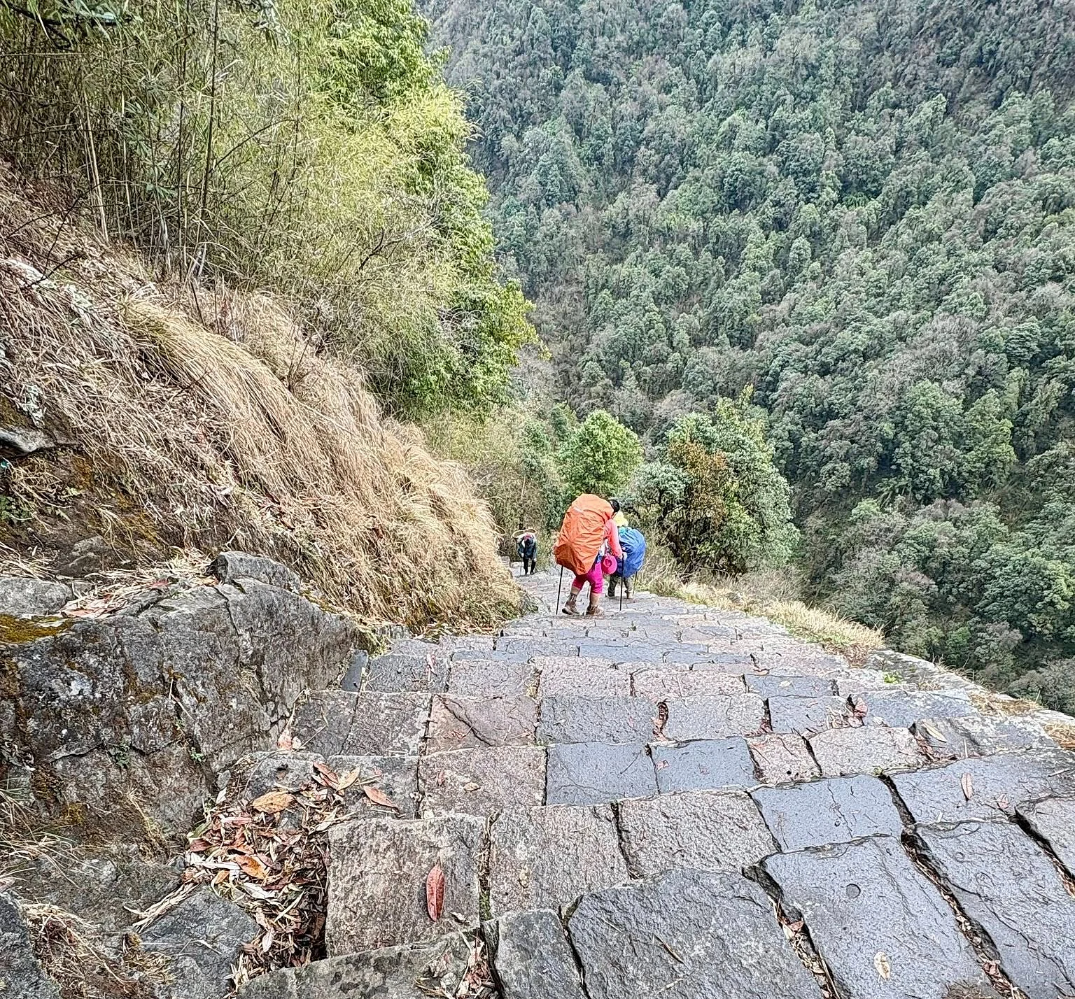 prothomalo-bangla%2F2026-04-11%2F2l5bjrc9%2F655691807_1931883550845508_5257353328024317963_n.jpg?w=1536&auto=format%2Ccompress&fmt=webp