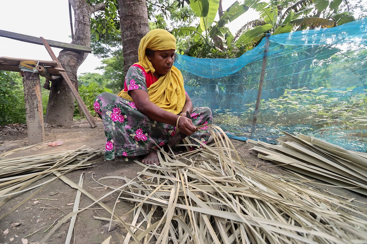 পাখার নকশার জন্য তালের পাতা কাটা হচ্ছে 