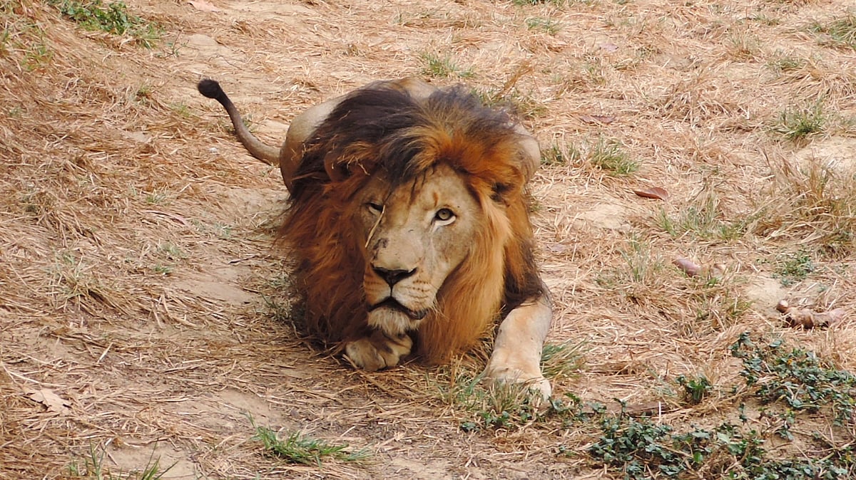  ছবি: সাদিক মৃধা