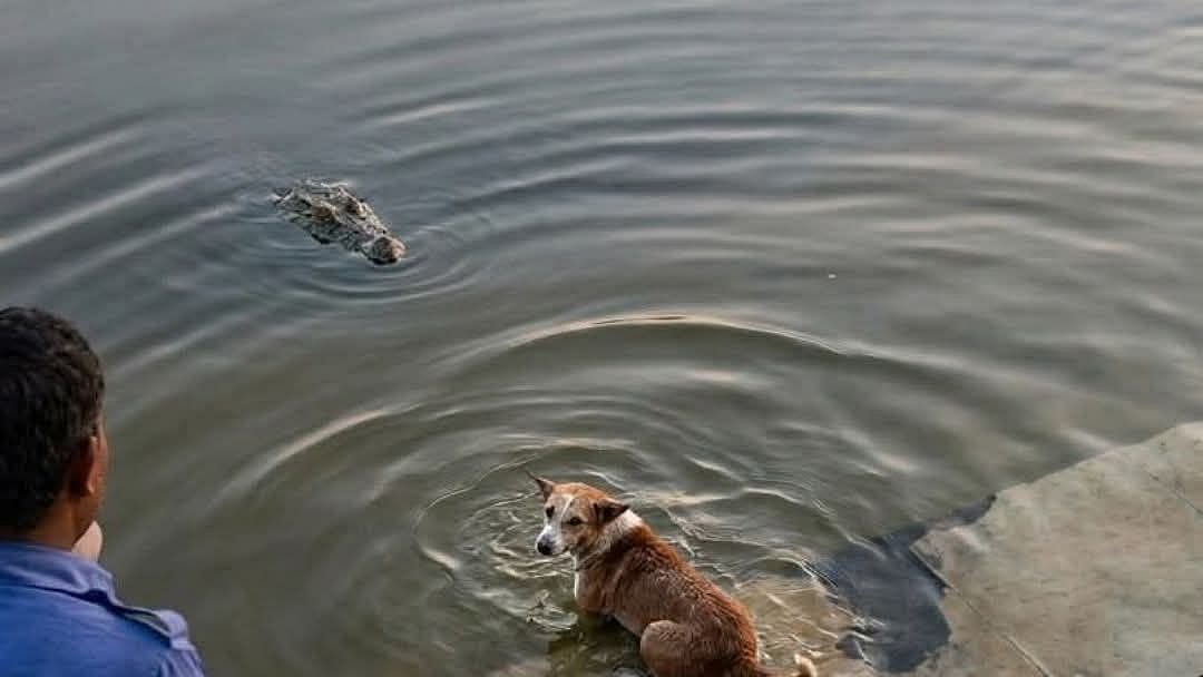 ছবিটি ভক্তদের সঙ্গে ভাগাভাগি করে নিয়েছেন জয়া। ছবি: ফেসবুক থেকে