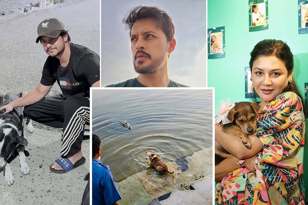 ‘মজা করার জন্য যে তাকে নির্মমভাবে অনর্থক মরতে হবে, এটা সে বোঝেনি। বোকা কুকুর!’