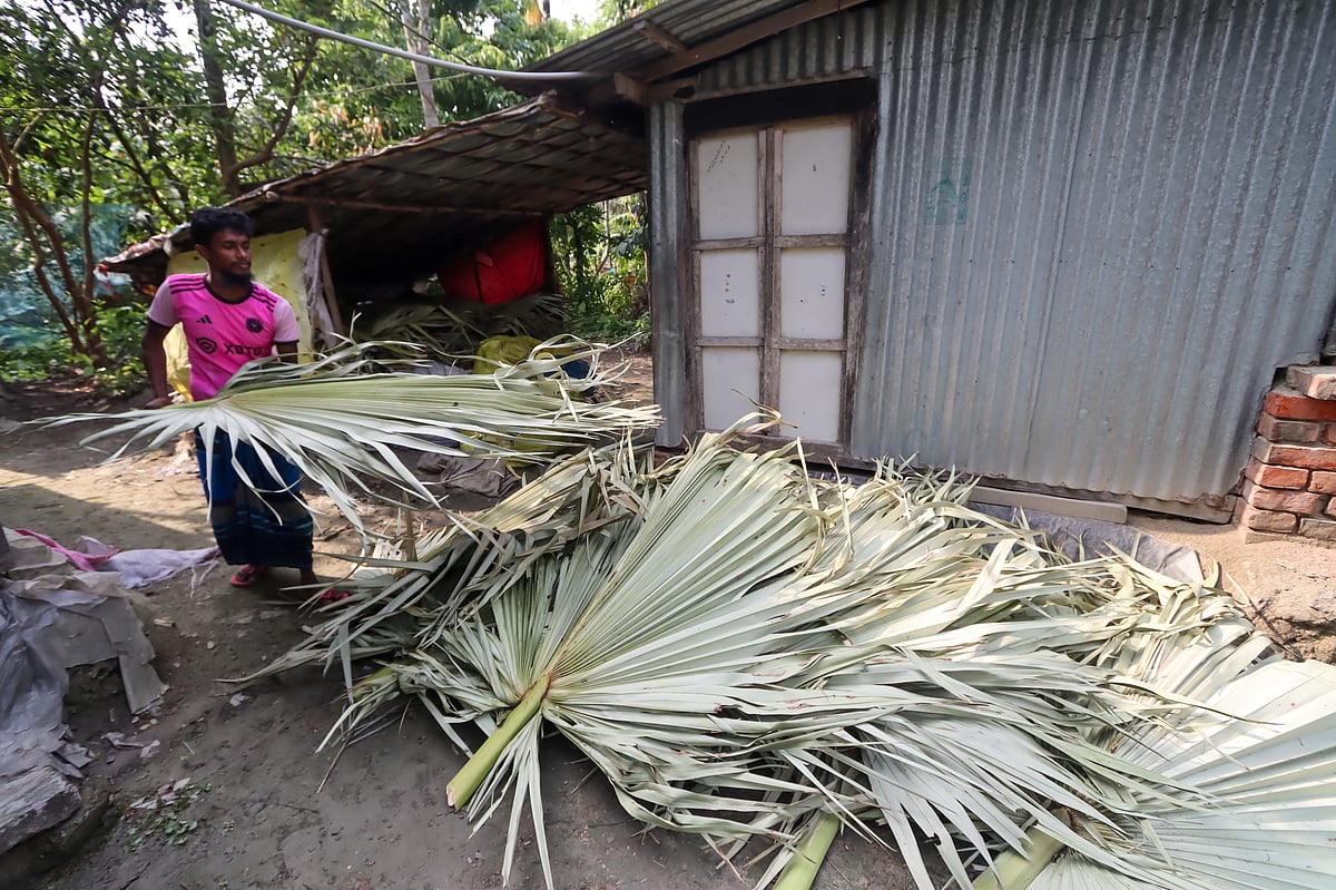 তালপাতার হাতপাখা বানাতে ব্যস্ত এক গ্রাম