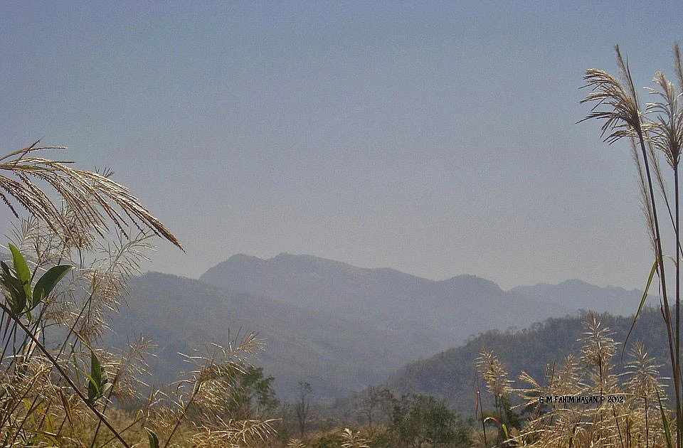 prothomalo-bangla%2F2026-04-11%2Fr0yxujv9%2FHill-4.jpg?w=1536&auto=format%2Ccompress&fmt=webp