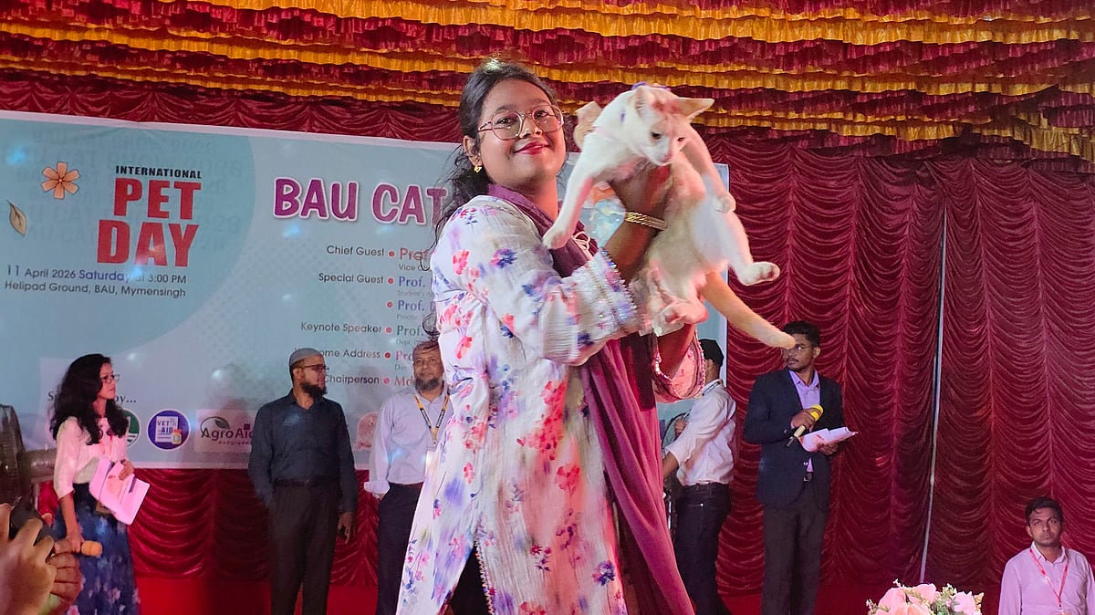 বাংলাদেশ কৃষি বিশ্ববিদ্যালয়ে র‍্যাম্পে হাঁটল বিড়াল