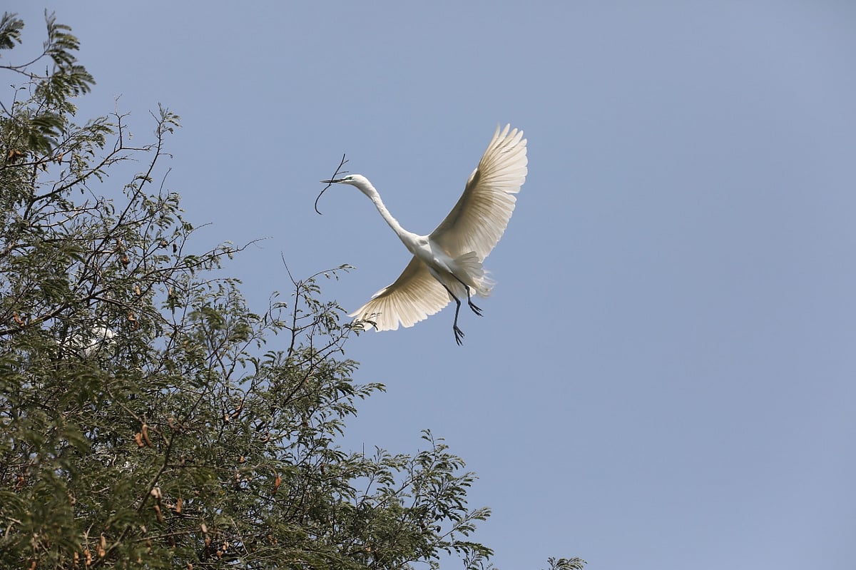 ছবি : সোয়েল রানা
