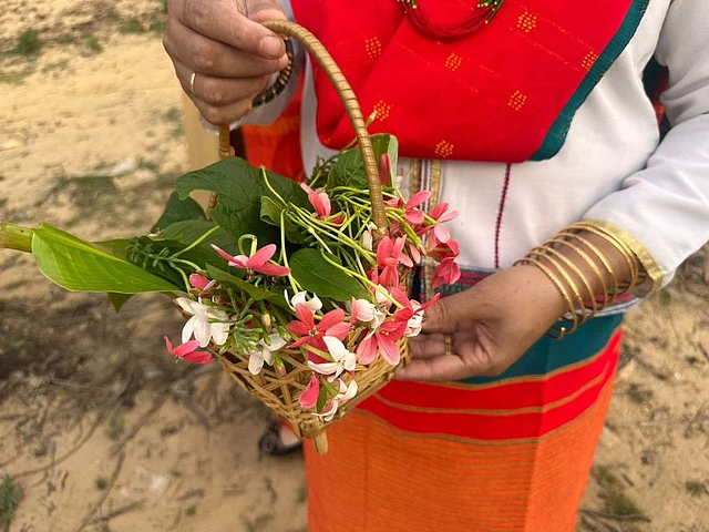 মধুমঞ্জরির দেখা পাওয়া গেল 