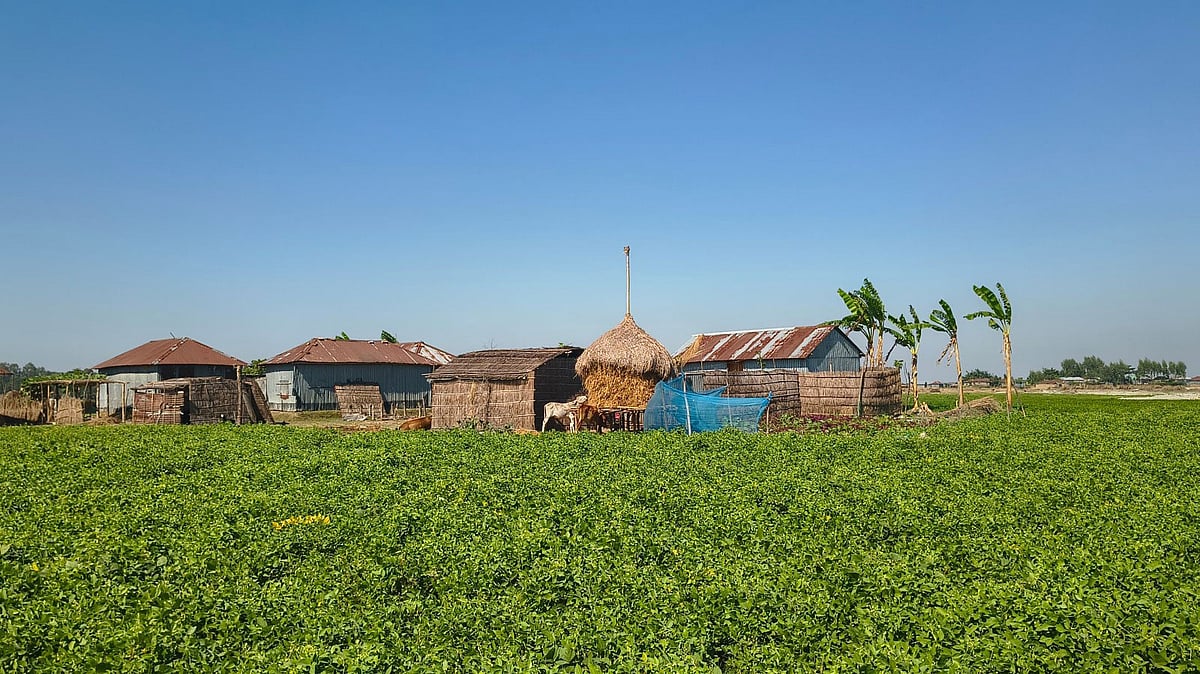 বৈশাখ মানে তাঁদের কাছে কালবৈশাখীতে টিকে থাকার লড়াই
