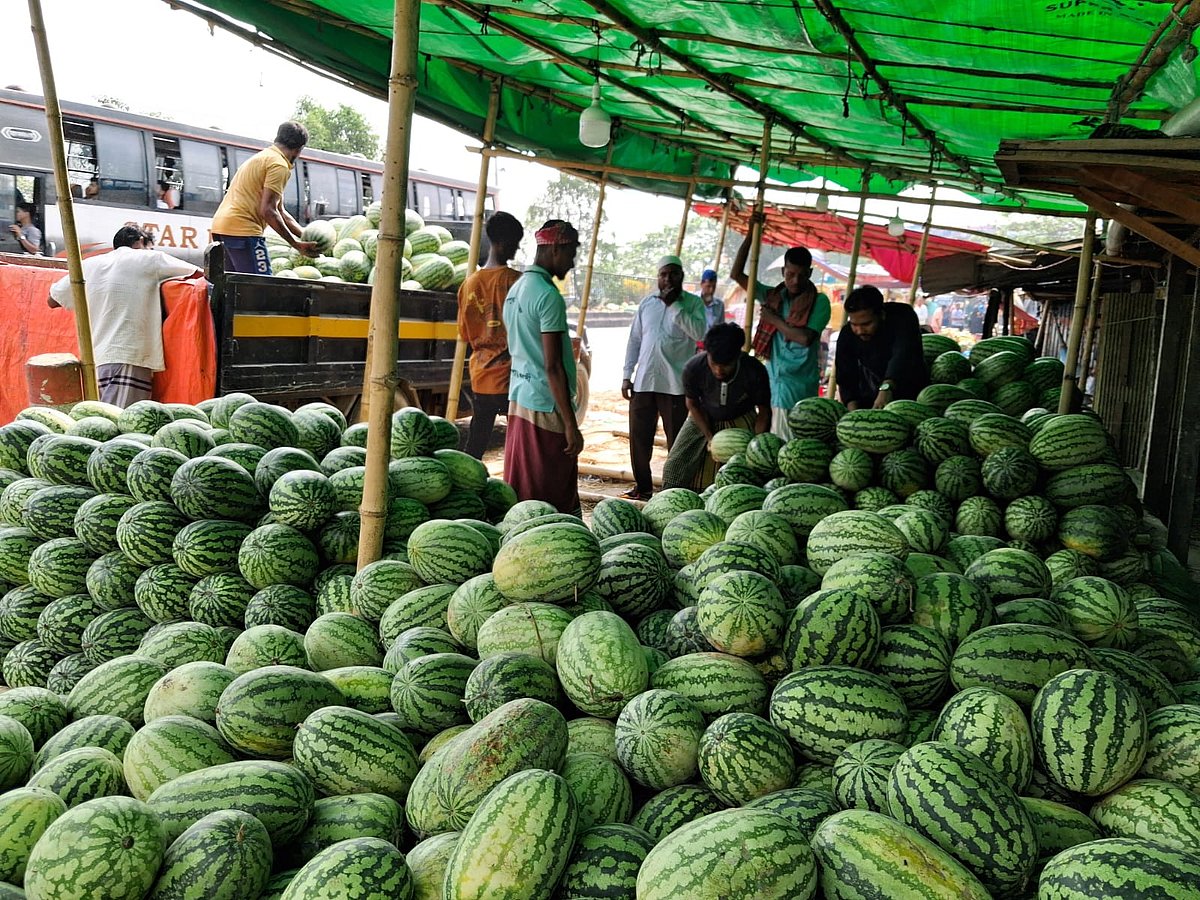 তরমুজের আড়তে ব্যস্ততা