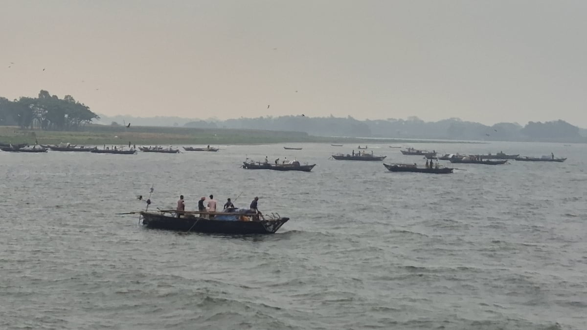 নিষেধাজ্ঞা সত্ত্বেও পয়লা বৈশাখ ঘিরে চাঁদপুরের পদ্মা-মেঘনায় ইলিশ ধরার মহোৎসব