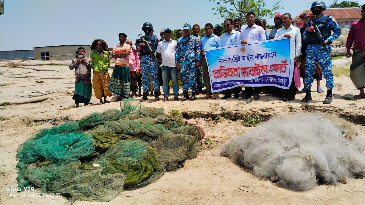 রাজবাড়ীতে নিষেধাজ্ঞা অমান্য করে পদ্মায় ইলিশ শিকার, জাল–জাটকা জব্দ