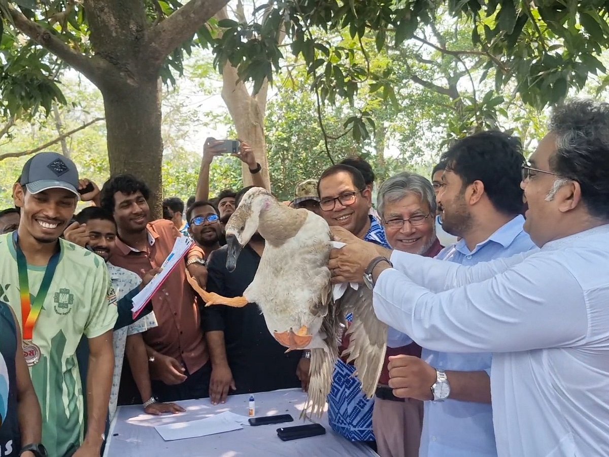 জাহাঙ্গীরনগরে ভেলাবাইচ প্রতিযোগিতা, বিজয়ীরা পেল রাজহাঁস, মুরগি ও কবুতর