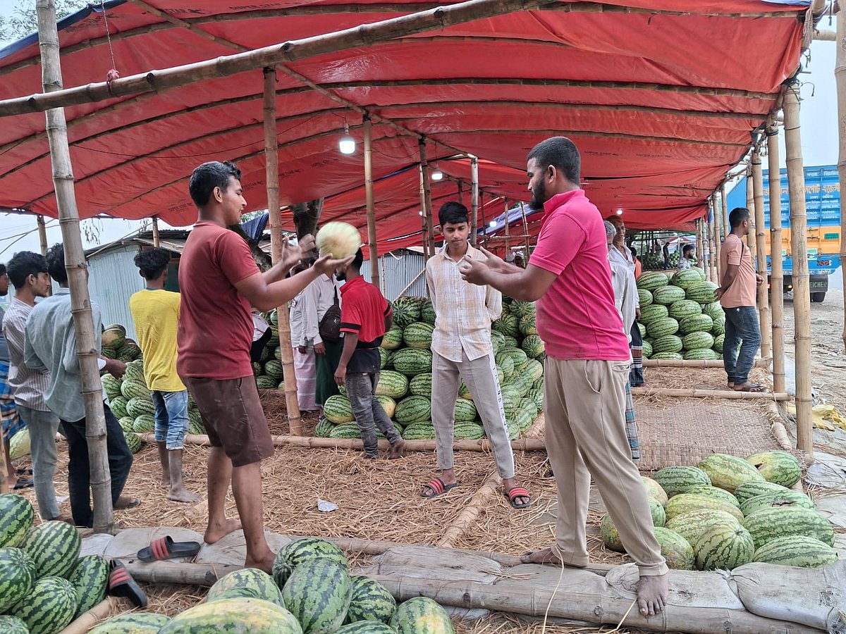 তরমুজ আড়তে নামানো হচ্ছে