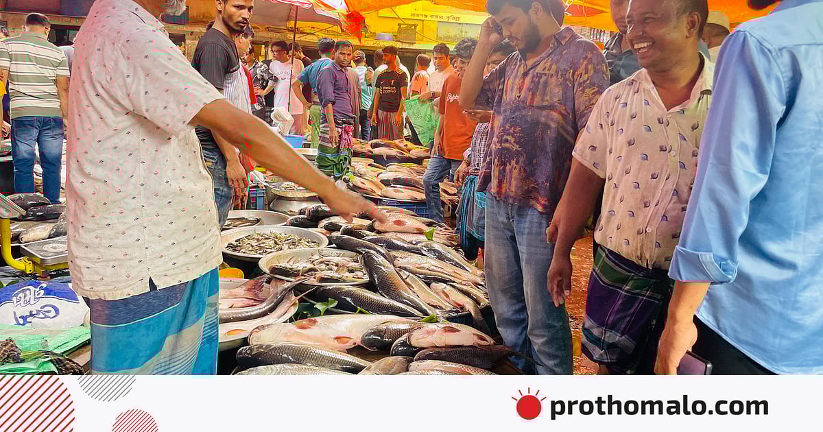 কুমিল্লায় বসেছে শতবর্ষী কাতলা মাছের মেলা, ক্রেতা-বিক্রেতার ভিড় কুমিল্লায় বসেছে শতবর্ষী কাতলা মাছের মেলা, ক্রেতা-বিক্রেতার ভিড়