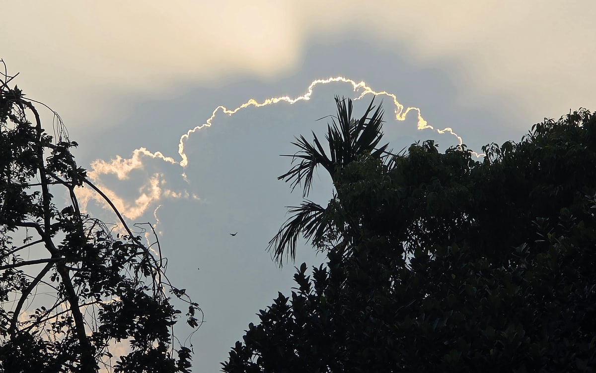 একঝলক (১৫ এপ্রিল ২০২৬)