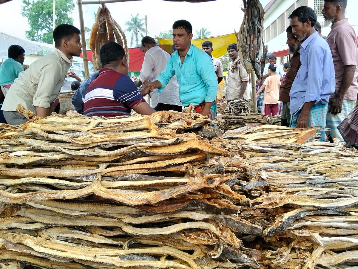বৈশাখে বসে যে শুঁটকি মেলা