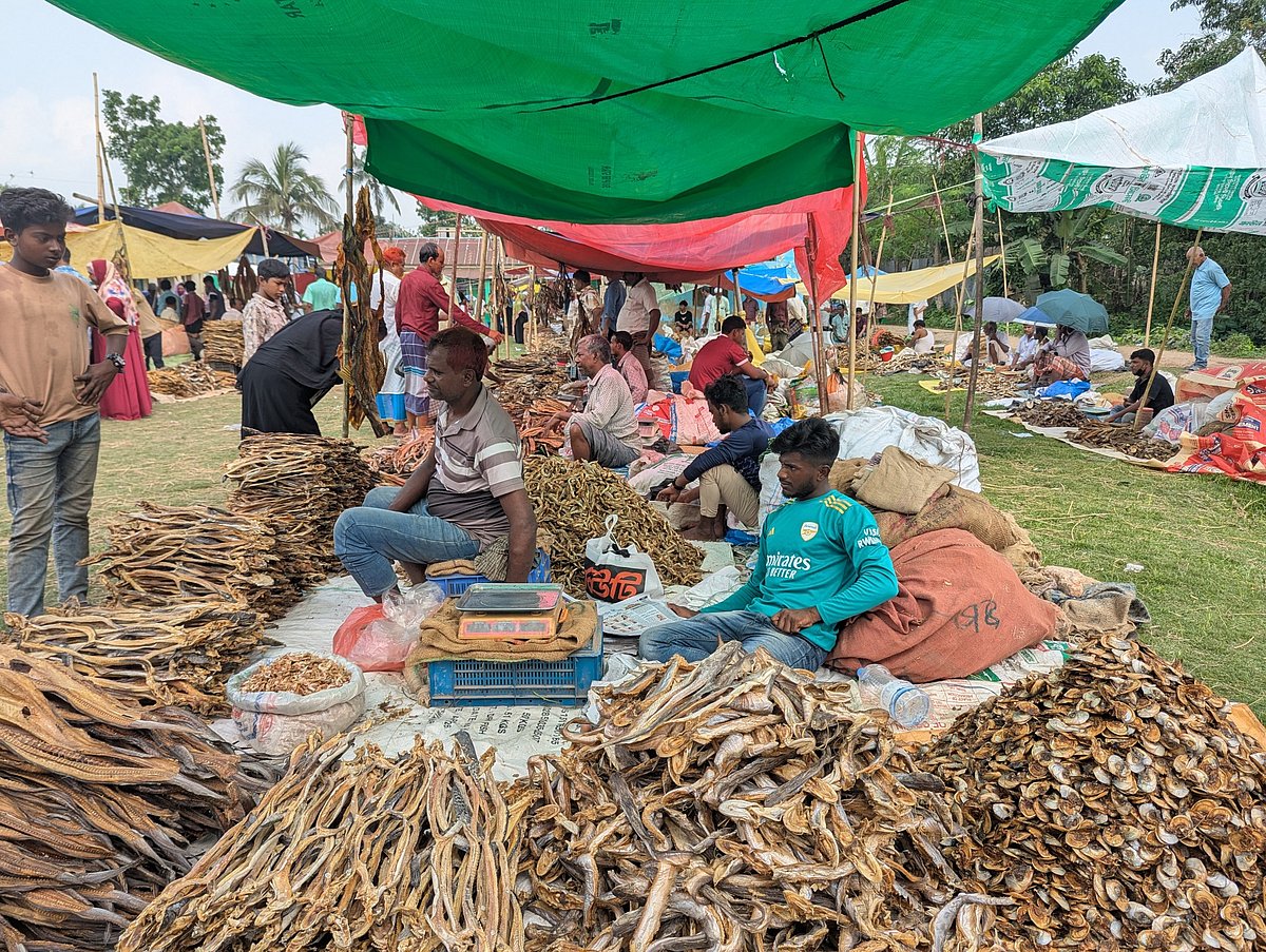 ব্রাহ্মণবাড়িয়ার নাসিরনগর উপজেলার কুলিকুন্ডা গ্রামের সরকারি প্রাথমিক বিদ্যালয় মাঠে এই শুঁটকি মেলা চলে আসছে বহুদিন ধরে  