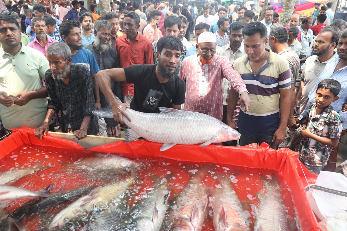 মেলায় ১৫-২০ কেজি ওজনের অনেক মাছ এসেছে 