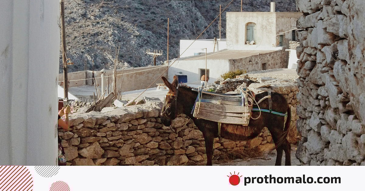 ইয়াফুর: এক নির্বাক প্রাণীর নবীপ্রেম ইয়াফুর: এক নির্বাক প্রাণীর নবীপ্রেম