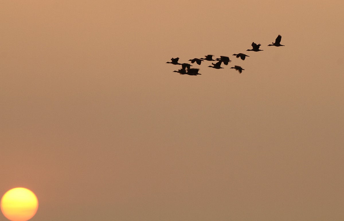 একঝলক (১৬ এপ্রিল ২০২৬)