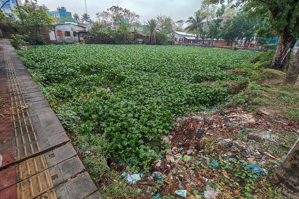 জলাধার ও সবুজ এলাকা কমায় সংকটে খুলনা, বর্ষায় জলাবদ্ধতা, গ্রীষ্মে পানি ওঠে না