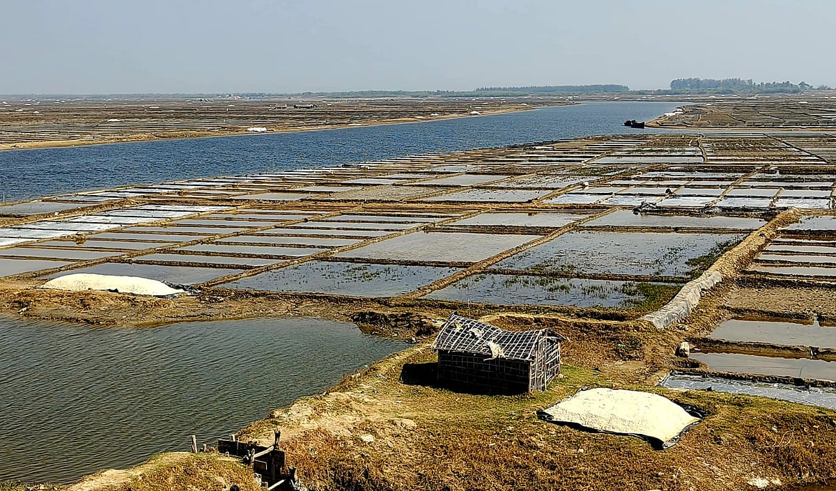 দাম কম, বৃষ্টির ধাক্কা, বিপাকে কক্সবাজারের ৪২ হাজার লবণচাষি