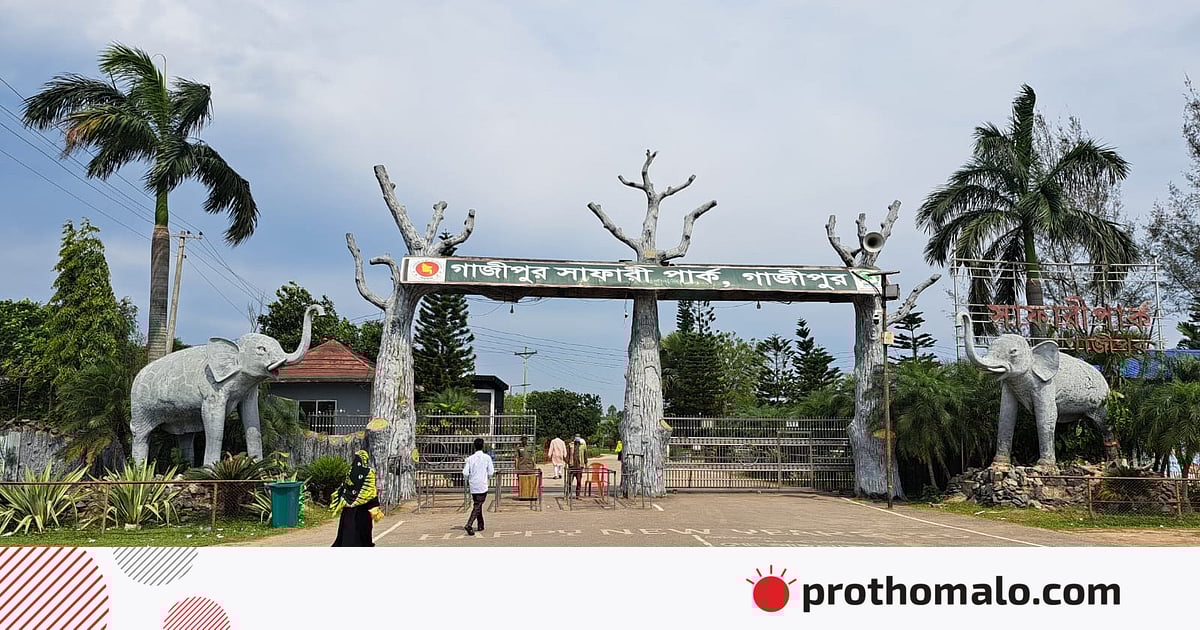 শ্রীপুরের সাফারি পার্ক হারাচ্ছে শ্রী, বাড়াচ্ছে দর্শনার্থীদের বিরক্তি শ্রীপুরের সাফারি পার্ক হারাচ্ছে শ্রী, বাড়াচ্ছে দর্শনার্থীদের বিরক্তি