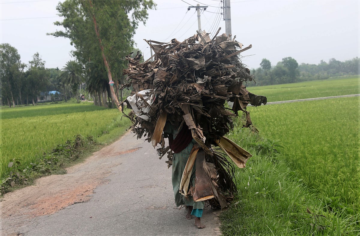 ছবি: সোয়েল রানা
