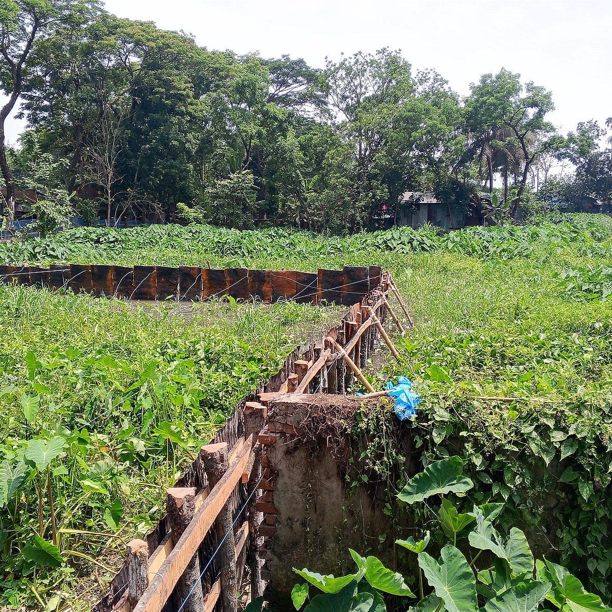 অনুমতি ছাড়াই সওজের জলাধার ভরাট করে ট্রাকস্ট্যান্ড বানাচ্ছে ঝালকাঠি পৌরসভা